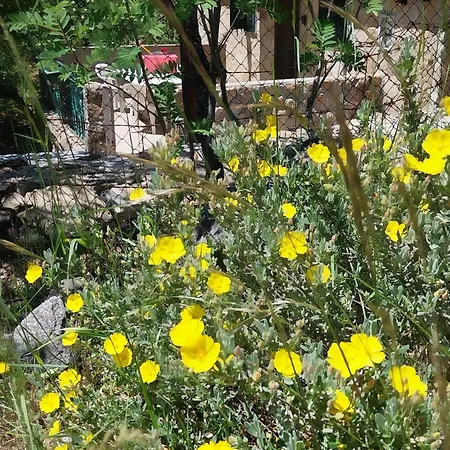 Fraga Da Estrela Chalet